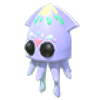 Squid