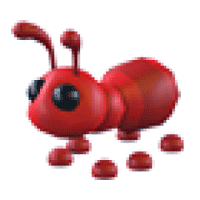 Ant