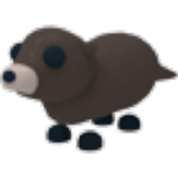 Otter