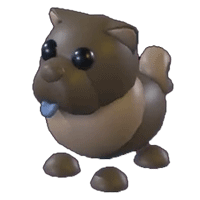 Chocolate Chow-Chow