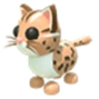 Leopard Cat