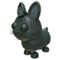Amami Rabbit