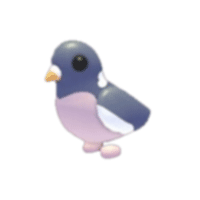 Wood Pigeon
