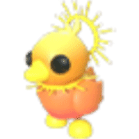 Sunrise Duckling