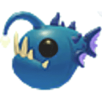 Angler Fish
