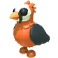 Lammergeier