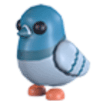 Rock Pigeon