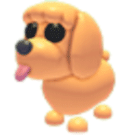 Toy Poodle