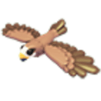 Black Kite