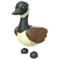 Canadian Goose