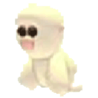 Snow Monkey