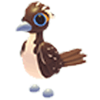 Roadrunner