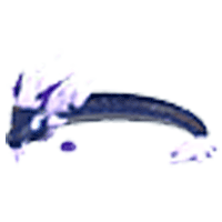 Midnight Dragon