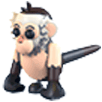 Capuchin Monkey