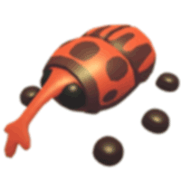 Weevil