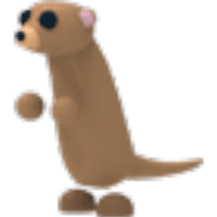 Meerkat