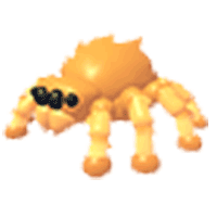 Jumping Spider