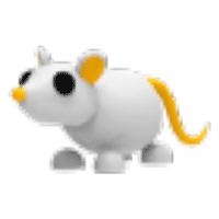 Golden Rat