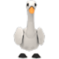 Swan
