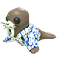 Summer Walrus