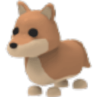 Dingo